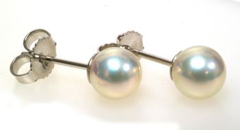 5.5 MM Pearl Stud Earrings in 14K White Gold SE00025