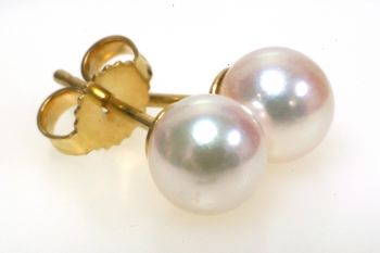 5.5mm Pearl Stud Earrings in 14K Gold 