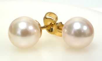 7 MM Pearl Stud Earrings in 14K Yellow Gold SE01108 