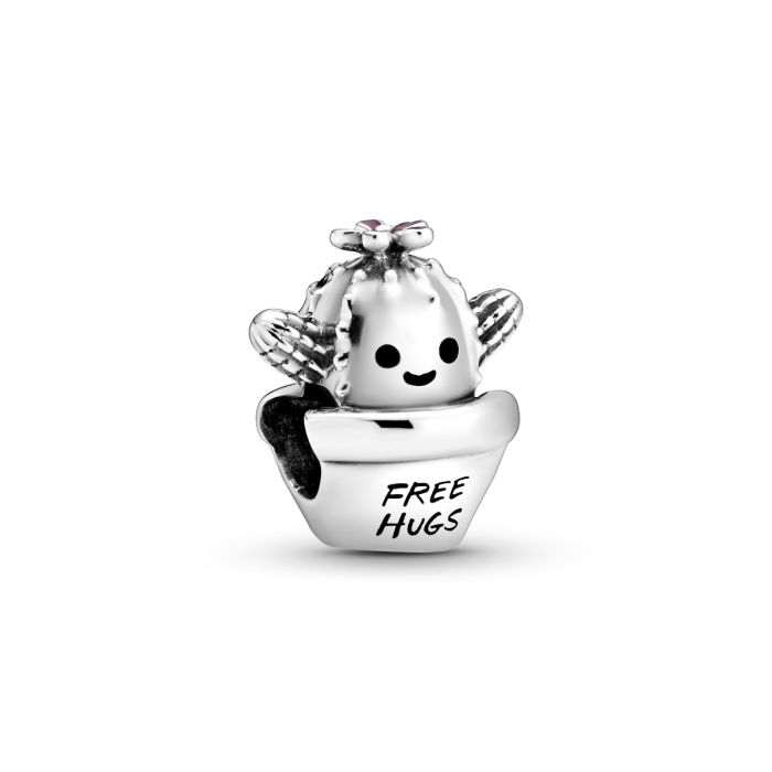 Free Hugs - SET 5 GOMME PROFUMATE CACTUS