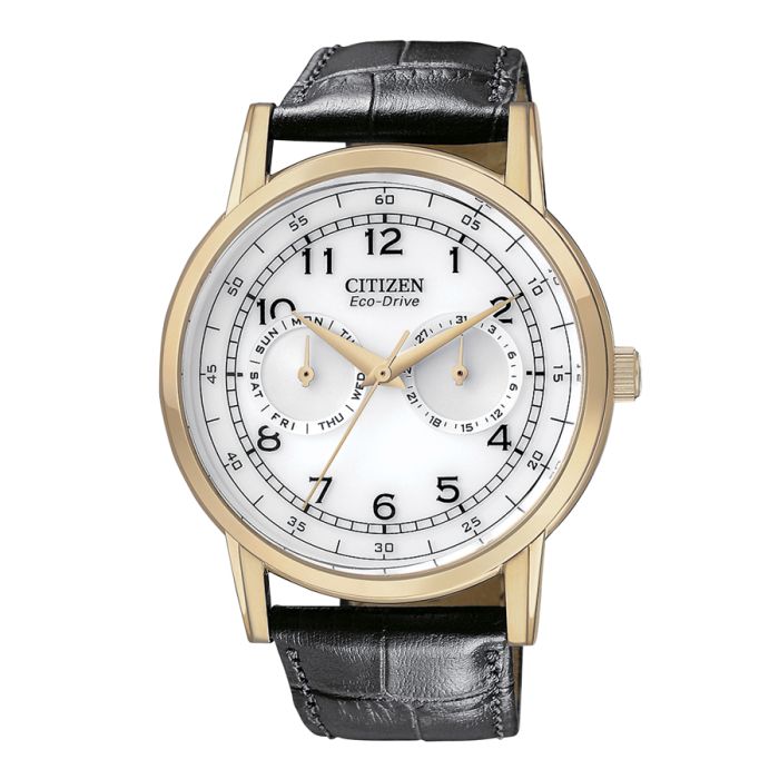 Citizen Eco-Drive Men's Strap AO9003-16A | Hannoush Jewelers