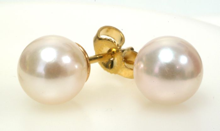 7 MM Pearl Stud Earrings in 14K Yellow Gold SE01108 | Hannoush Jewelers