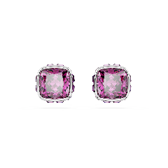 February Birthstone Stud Earrings 5660797