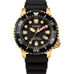 Citizen Eco-Drive Mens Promaster Dive Watch BN0152-06E